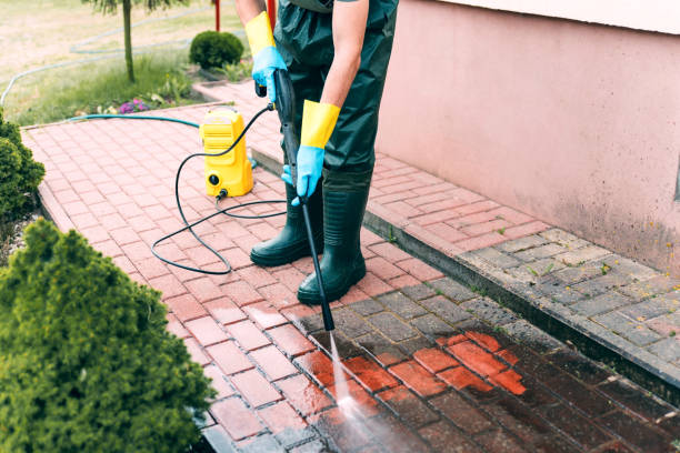 Best Roof Power Washing Services  in , WY